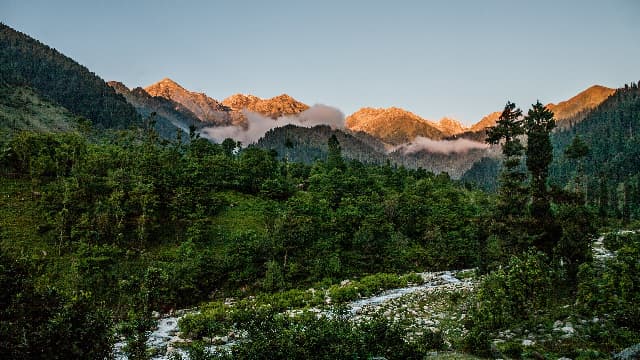 Beautiful Kashmir landscape with brown chinar trees in Chatpal - Sadasangh Holidays destination